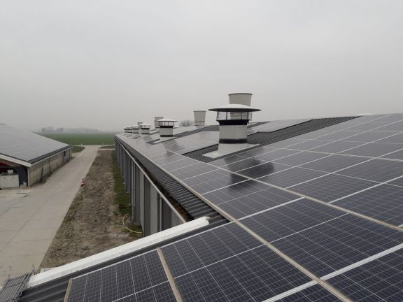 Zonnepanelen stal boerderij