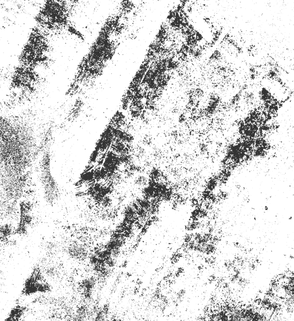 Layer 1661.png