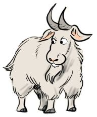 08KITSDe Geit Van Daniel