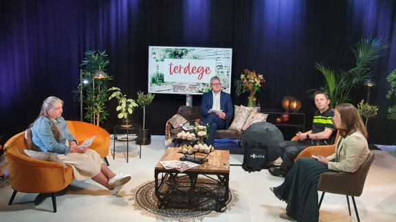 Terdege live