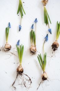 spg-flatlay-voorjaar 2021-8