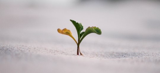 veerkracht tips Solidum Coaching