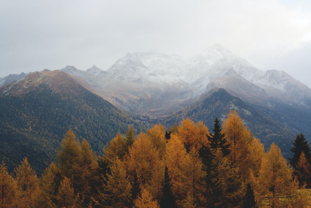 pexels-eberhard-grossgasteiger-640809.jpg