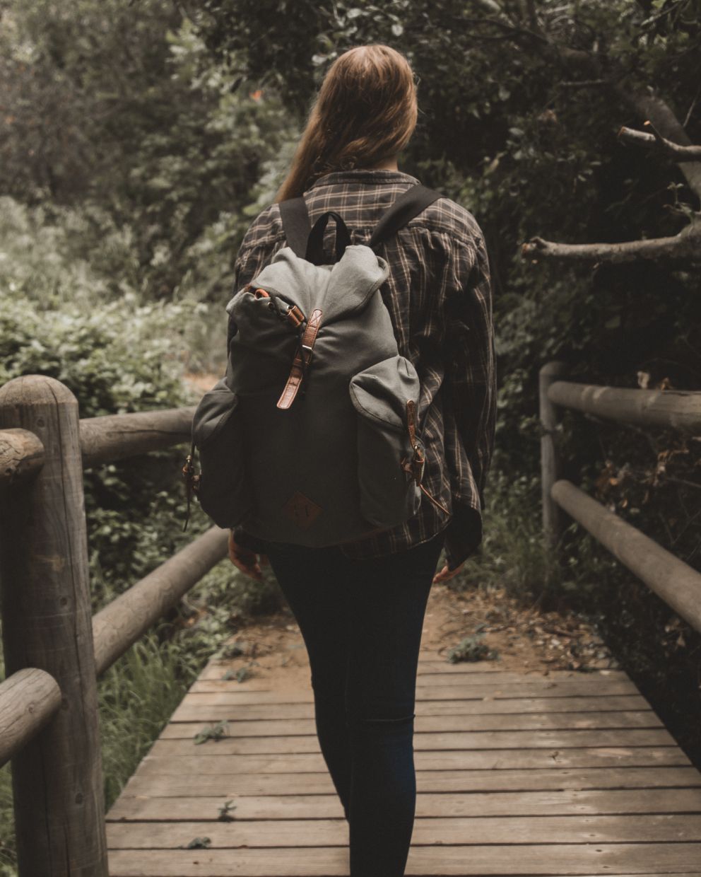 pexels-spencer-selover-428326.jpg
