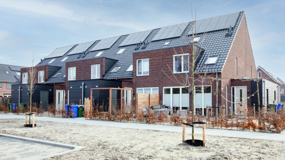 Op Zuid Scherpenzeel
