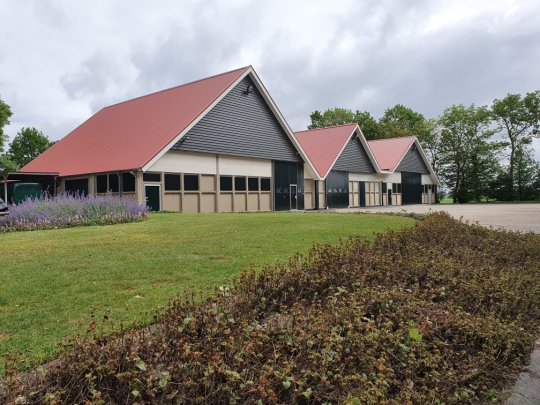 Gevelrenovatie en dakrenovatie in Nagele Wernsen Bouw & Montage