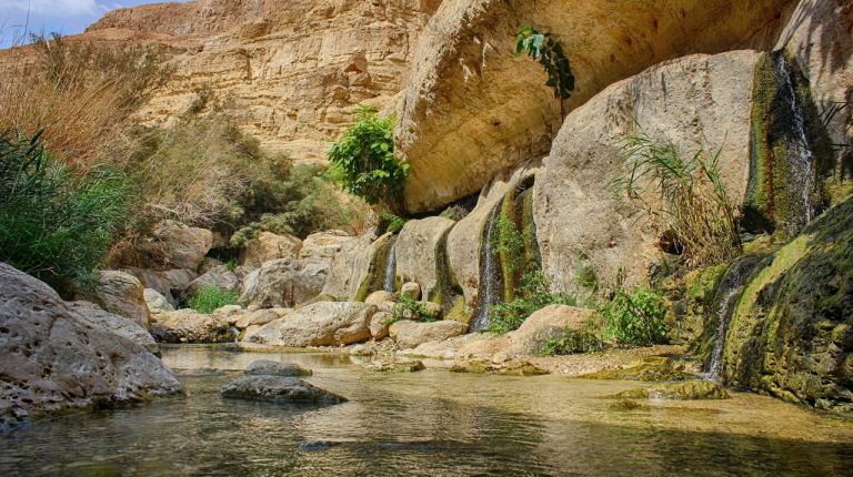 Ein Gedi.web