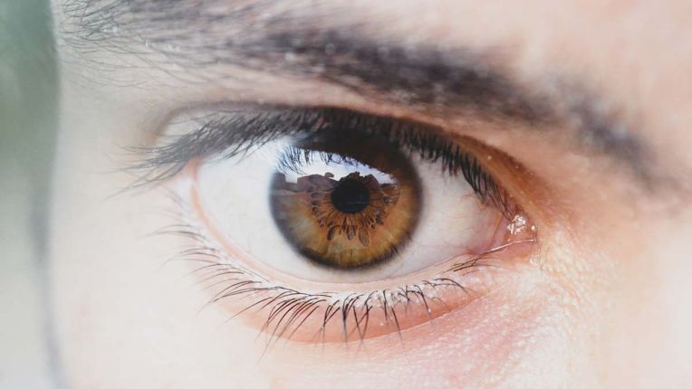 oog