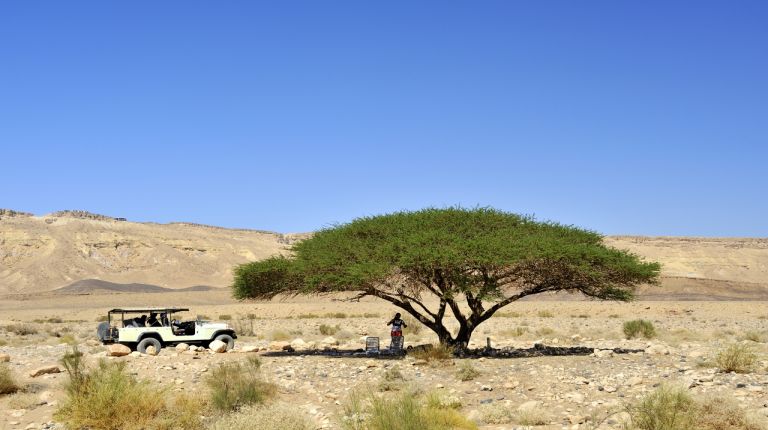 woestijn_jeep_165923207