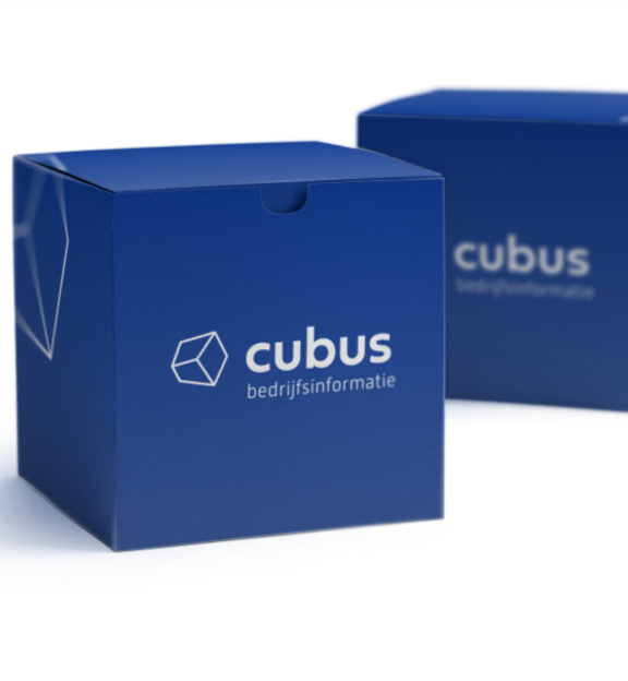 cubic box mockup 0 cubus@x