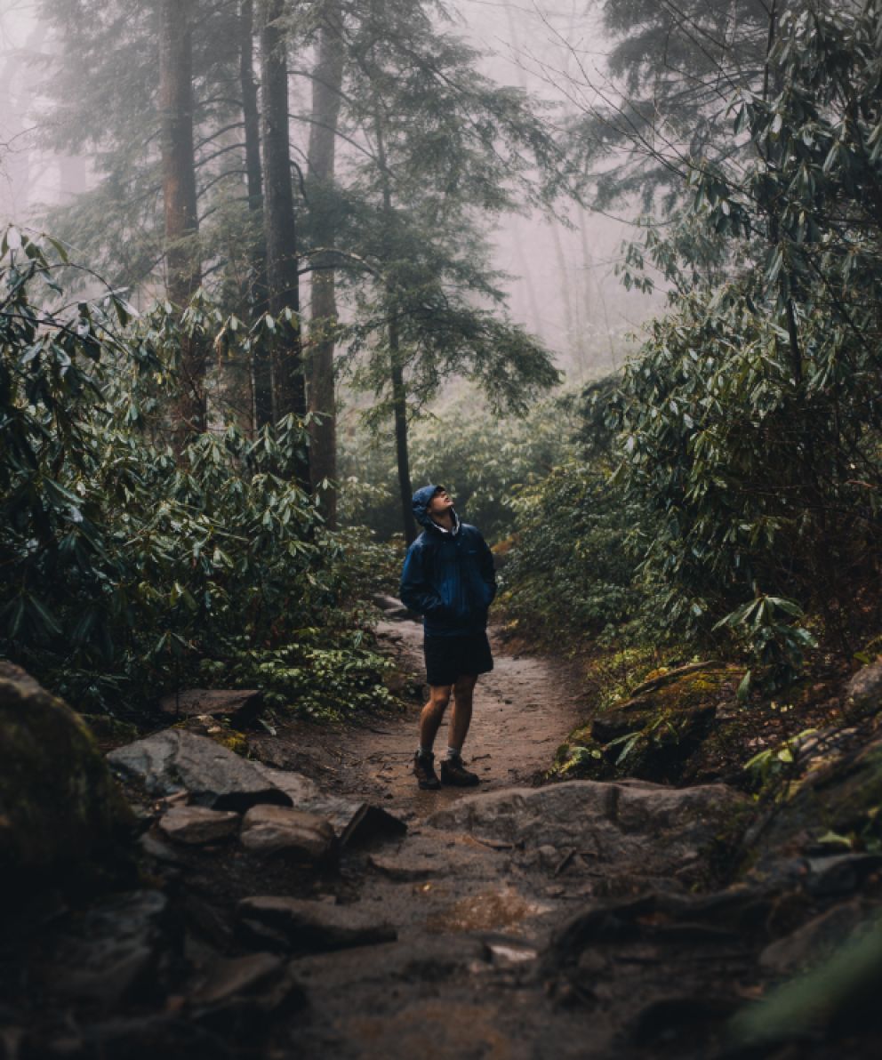 blake-cheek-jnJ89cuXMcs-unsplash.png