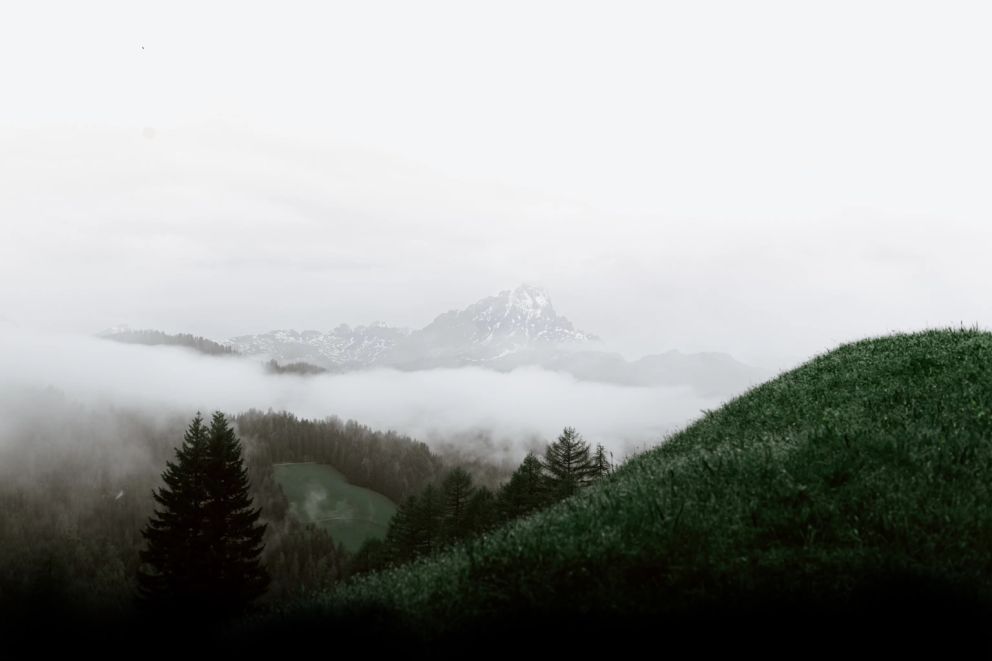 foto.jpg
