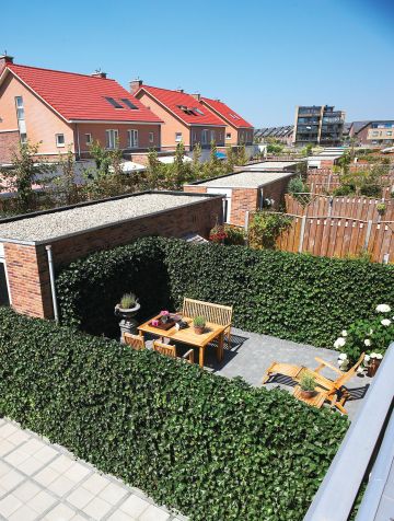 Kant en klaar hederascherm Kant en klaar hederascherm