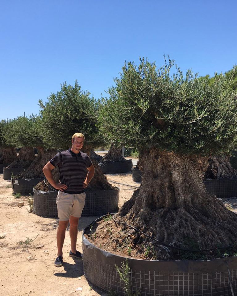 oliva exclusive trees ruben wouters