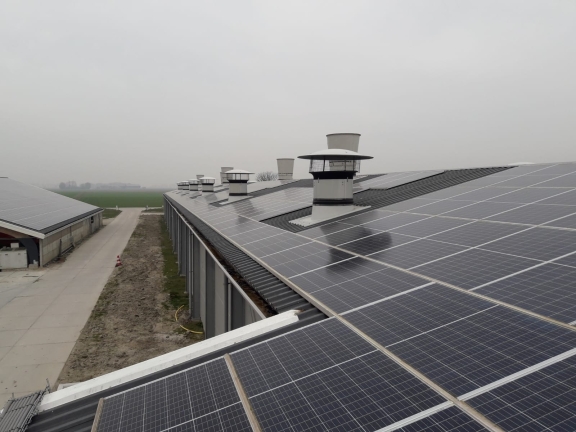 Zonnepanelen stal boerderij