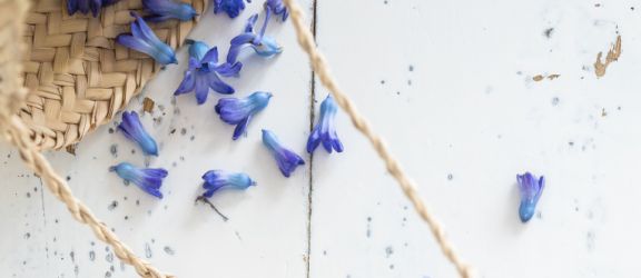 spg-flatlay-jan-lente22-18-aange