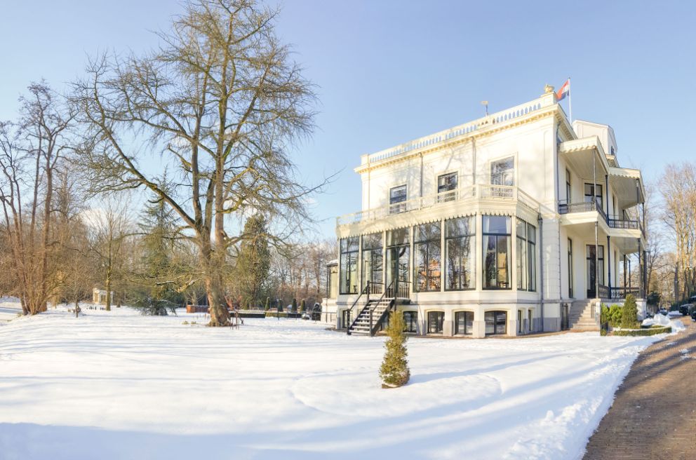 Gingko in de winter naast het kasteel
