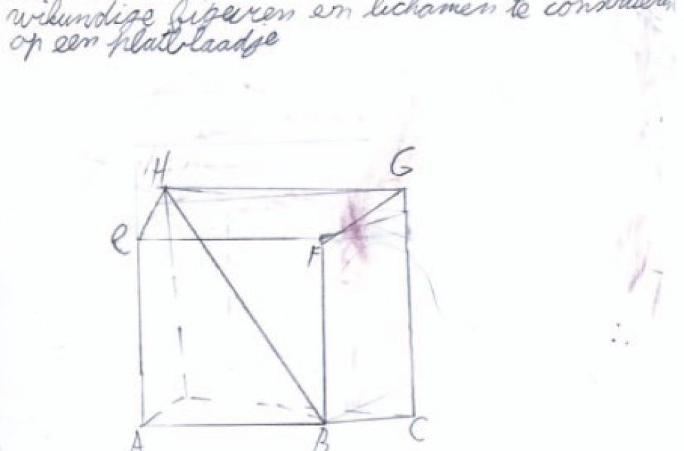 fixatie disparatie kubusbrugklas