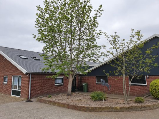 Dakrenovatie schuur, loods en bedrijfshal