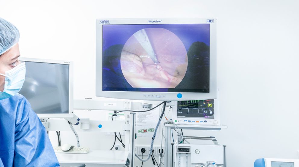 AnimalCare chirurgie