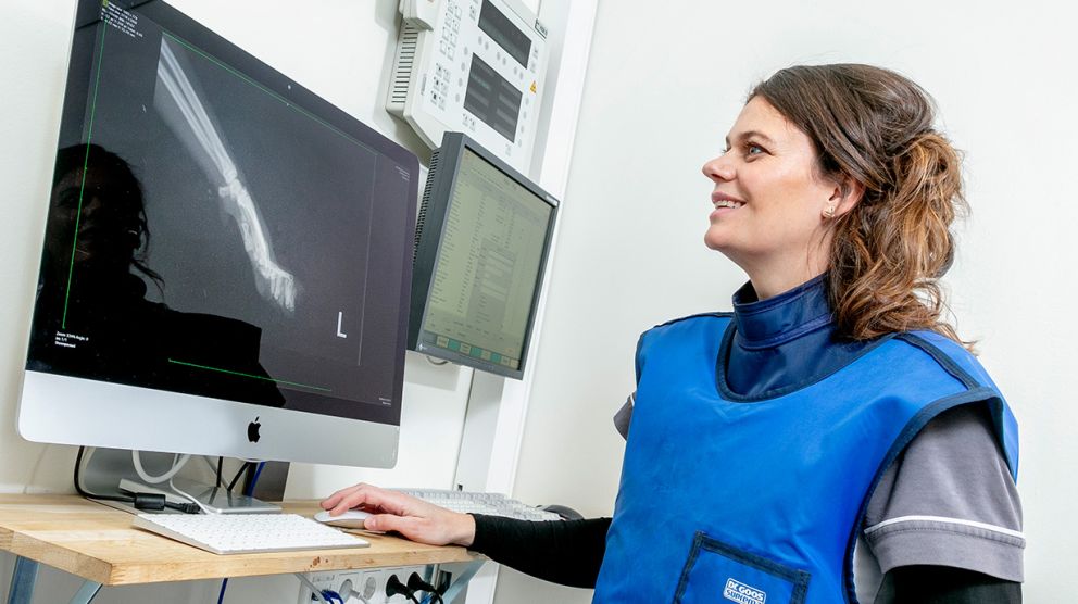 AnimalCare rontgen en echo