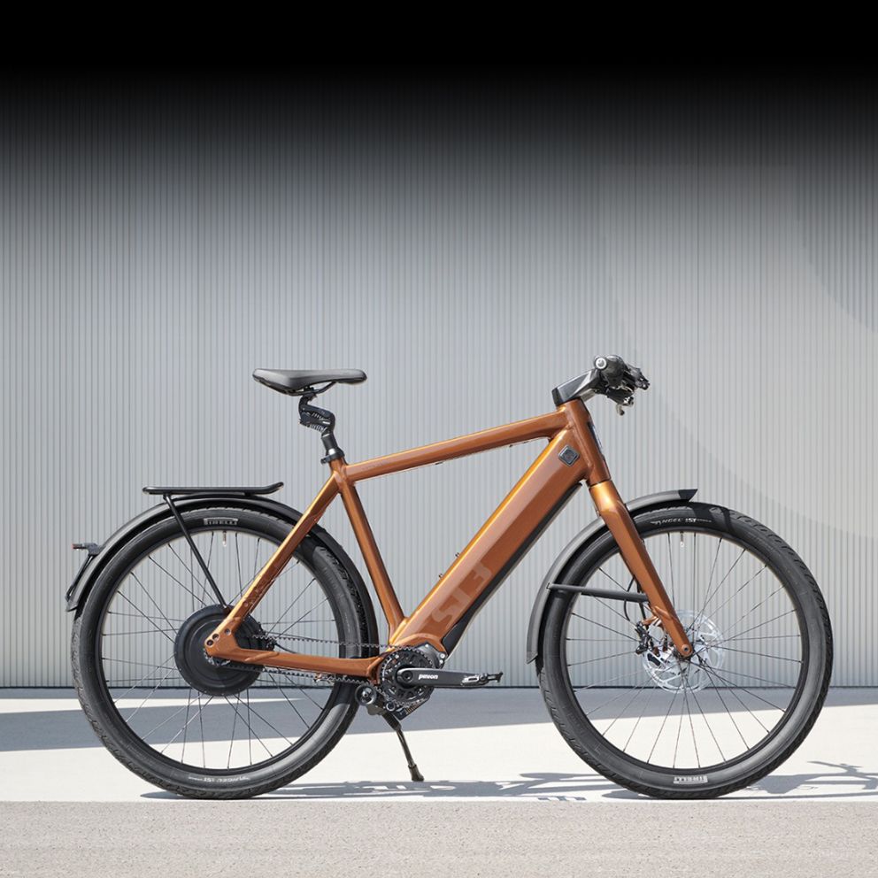 Motorrevisie Stromer speed-pedelec | Riesewijk Exclusives