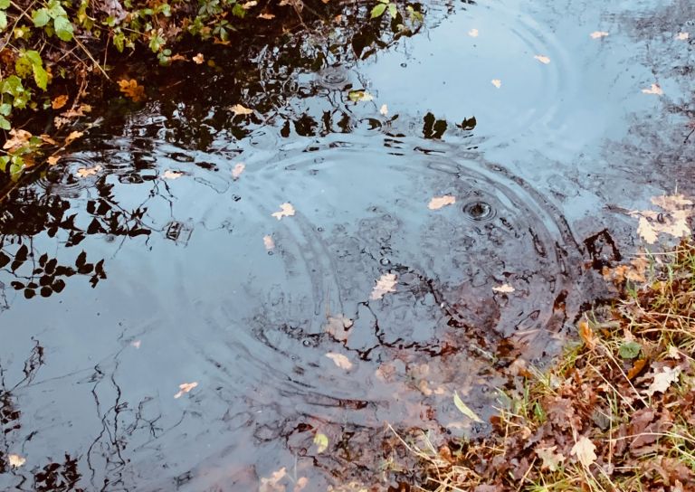 Druppels op de goeiende plaat?!