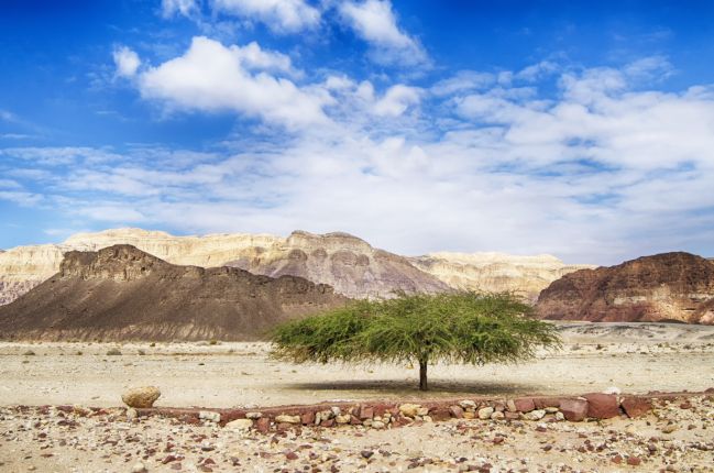 Negev Timna Park - Pixabay