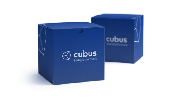 cubic box mockup 0 cubus@x