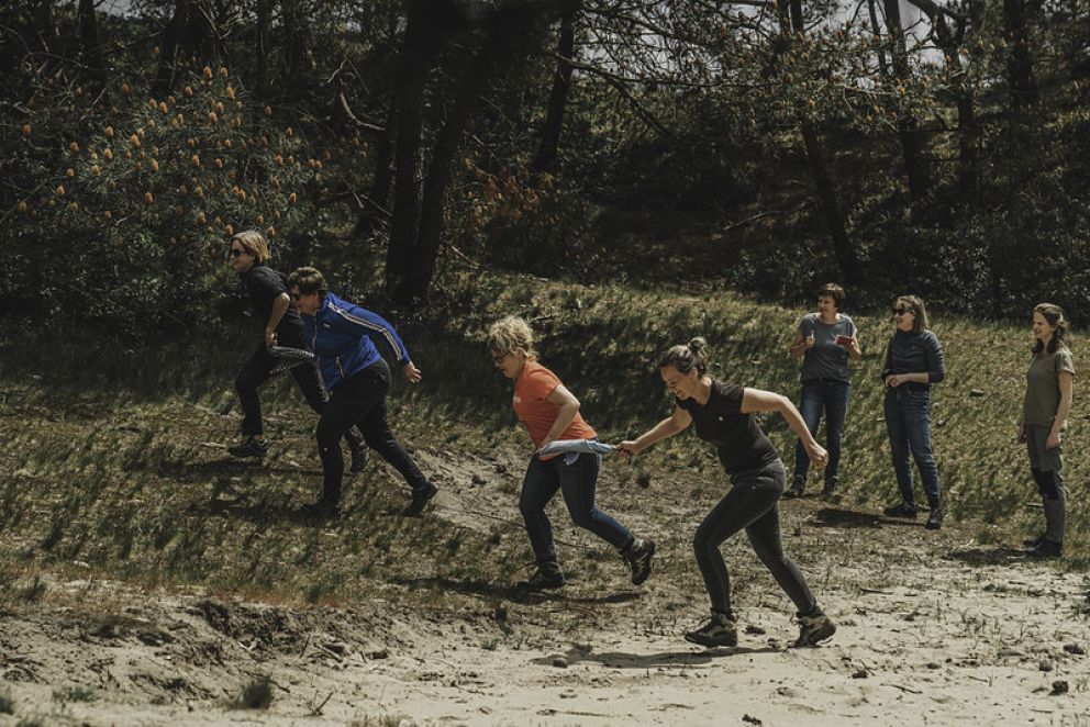 51251079688_a71f847f57_c_vlieland_collage_5.jpeg