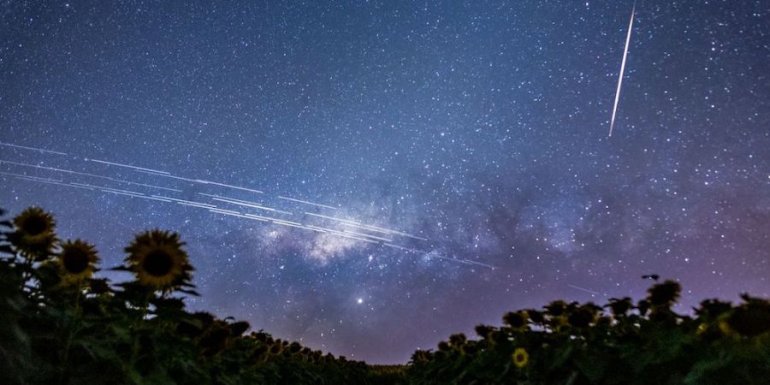 Starlink