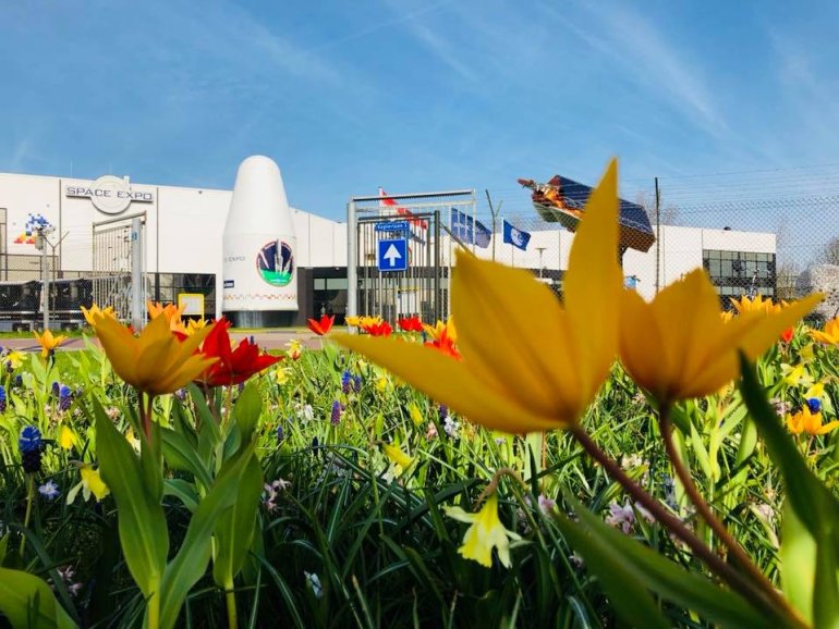 Tulpen voor space expo